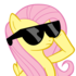 J-brony_fluttershy_glasses